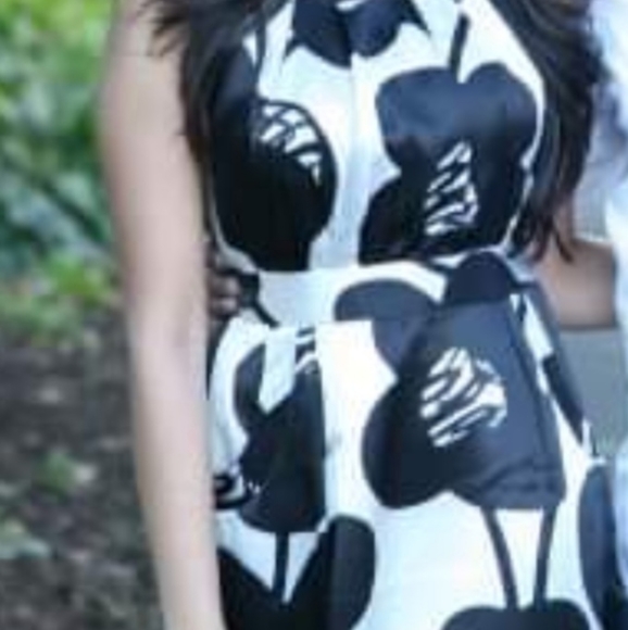 Beautiful knee length Jacob black and white silk dress. - Picture 3 of 4